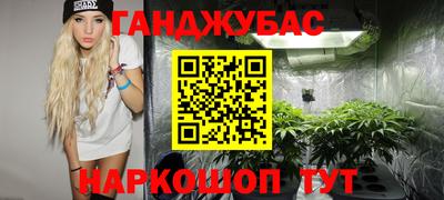 прущие грибы Камышлов