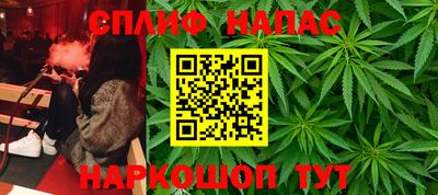 прущие грибы Камышлов