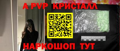прущие грибы Камышлов