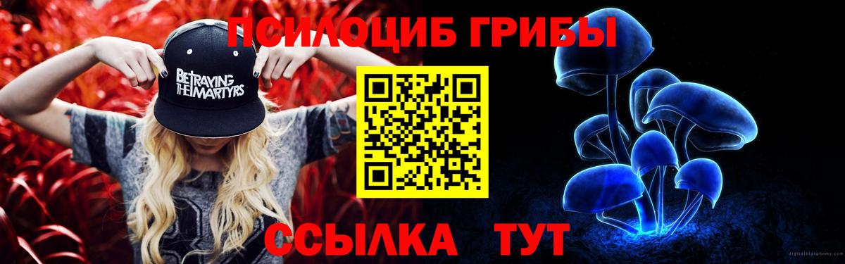 Галлюциногенные грибы MAGIC MUSHROOMS  Вход с VPN  Галлюциногенные грибы прущие грибы  Кстово 